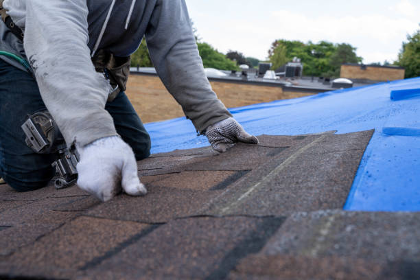 Best Storm Damage Roof Repair  in Forest Hills, TN